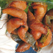 First records of the invasive slug Arion lusitanicus auct. non Mabille (Gastropoda: Pulmonata: Arionidae) in Romania