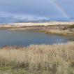 Vodní měkkýši lomů ČSA a Vršany – počátek kolonizace [Aquatic molluscs of the quarries ČSA and Vršany – the beginning of colonization]