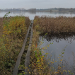 Společenstva vodních měkkýšů NPP Řežabinec se zaměřením na vzácné a ohrožené druhy [Aquatic mollusc communities of the Řežabinec National Natural Monument with a focus on rare and endangered species]